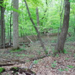 west suburban acreage for sale