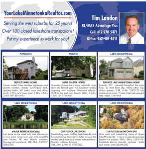 Top selling lake minnetonka realtor